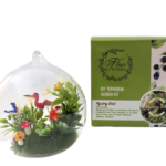 Fluttery wings DIY Terrarium kit